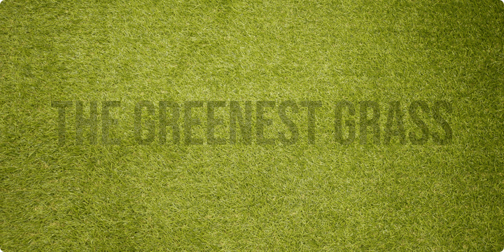 The Greenest Grass